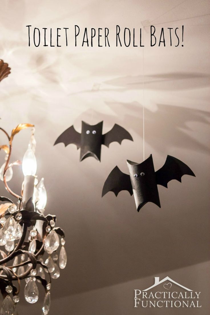 chauve-souris halloween
