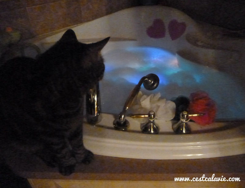 activité pour la st-valentin