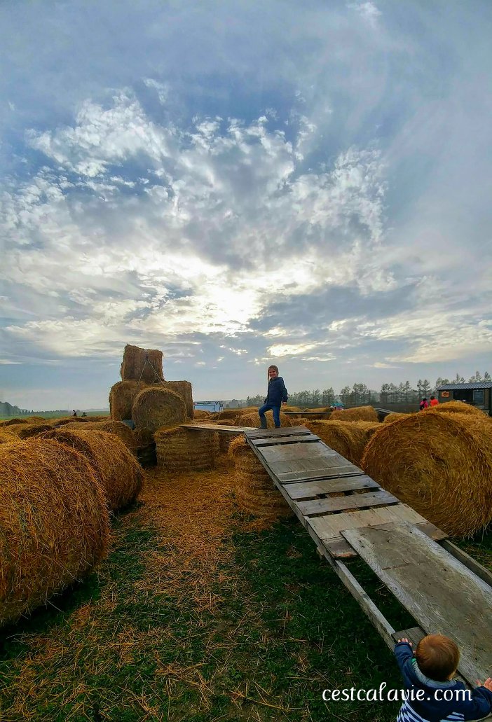 idées recettes de courges
