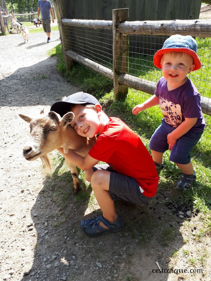 activité familiale québec