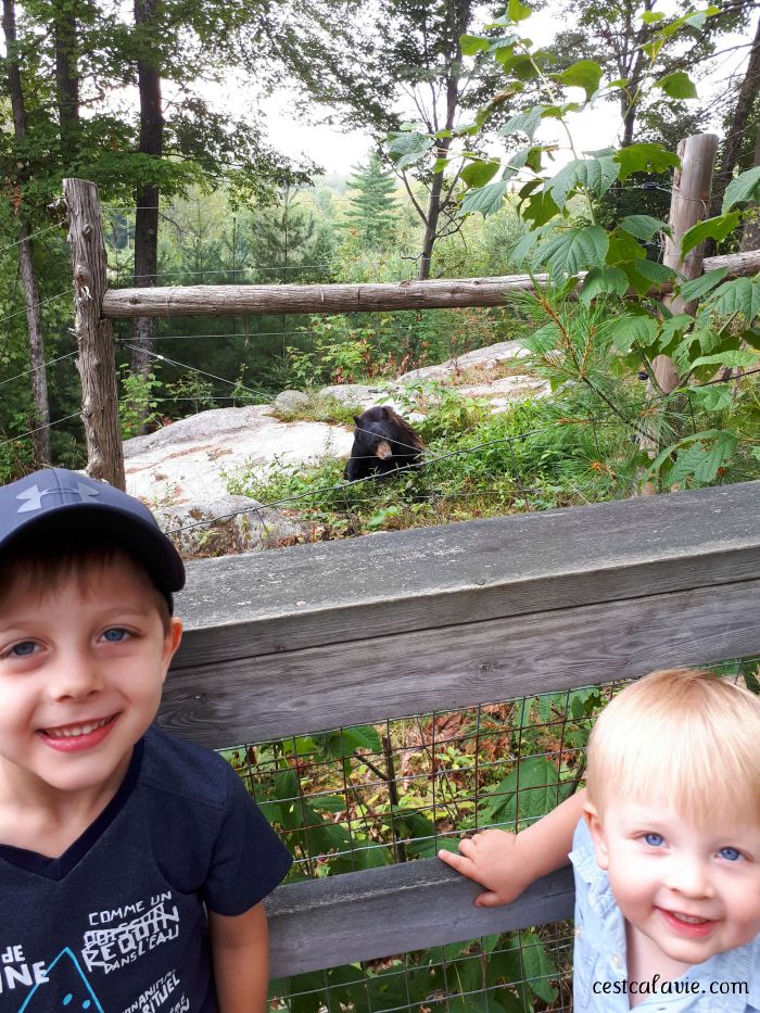 hébergement montebello